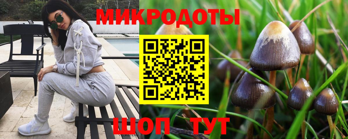 что такое наркотик  Галлюциногенные грибы мицелий  Вход с VPN  Амурск  Галлюциногенные грибы GOLDEN TEACHER 